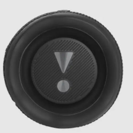 Flip 6 Portable Bluetooth Speaker